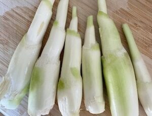 茭白的升糖指数(GI)升糖负荷(GL)及热量